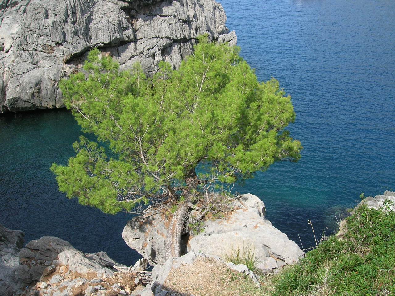 Torrent de Parreis